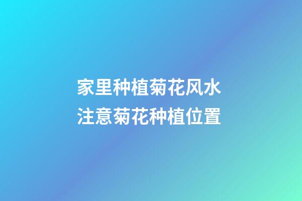 家里种植菊花风水 注意菊花种植位置